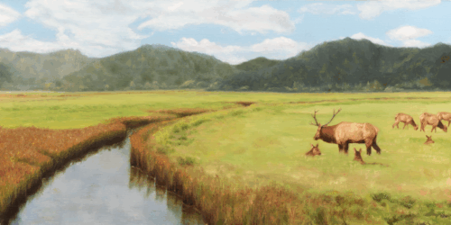Dean Creek Elk