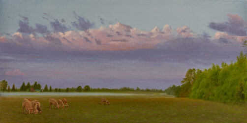 Lavender Morning Mist
