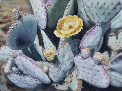 Michelle Myers - Desert Rose - 16 x 20 x 1 - $350