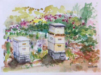 Tricia Heiser Wente - "Honey Houses" - 8 x 10 x 0 - $275