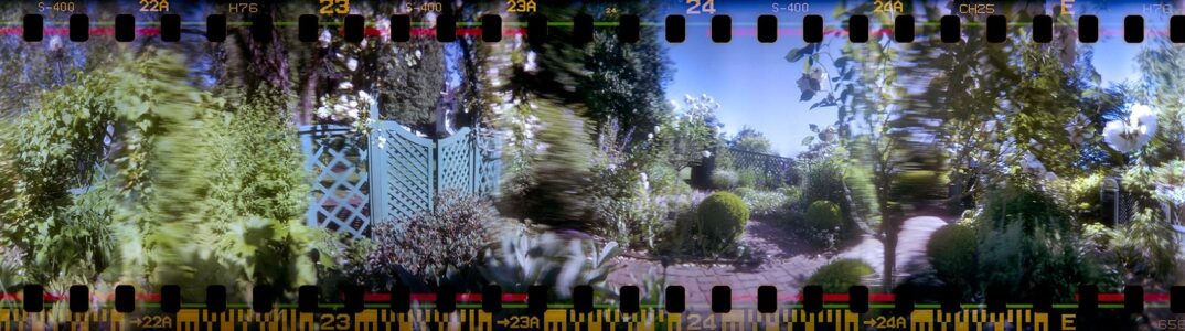 Nikki Burke - Conservatory Garden