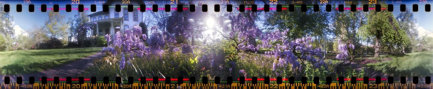Nikki Burke - Light in Bush Park