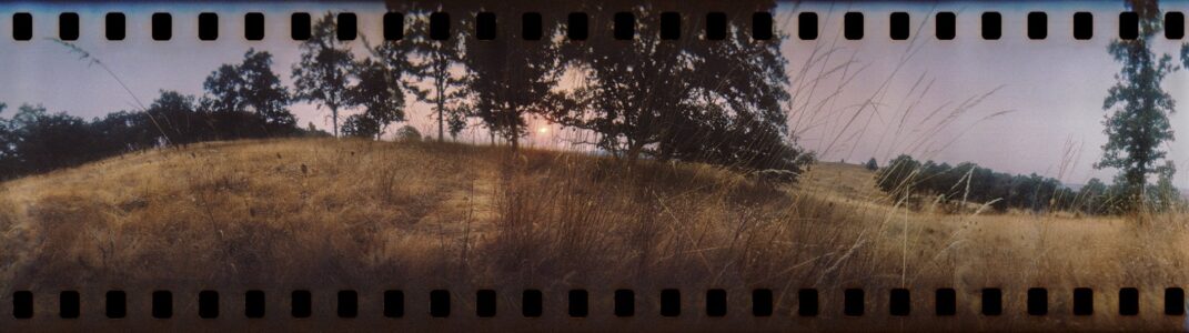 Nikki Burke - Sunset, Baskett Slough