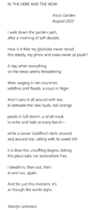 Marilyn Johnston - IN THE HERE AND THE NOW