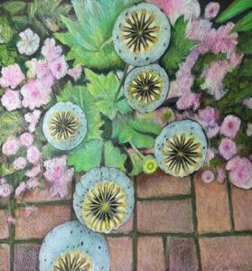 Carolyn Lehl - Poppy Pods