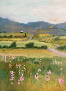Ann Moore - Pink Checkermallow