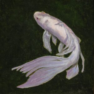 Jim Richards - Japanese Butterfly Koi #1