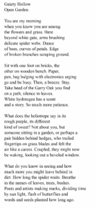 Sarah Rohrs - Gaiety Hollow Open Garden