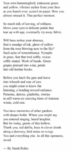 Sarah Rohrs - Gaiety Hollow Open Garden
