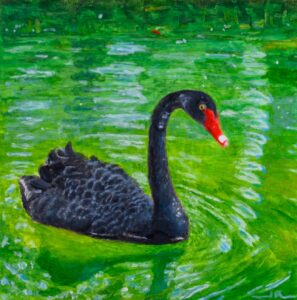 Black Swan - Jim Richards - Salem, Oregon