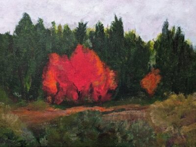 Dancing in the Dark - Pauli Bailey - Silverton, Oregon