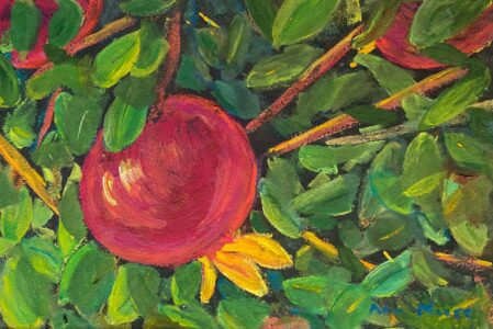 Pomegranates - Ann Moore - Salem, Oregon