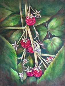 Raspberry Refuge - Dee Hendrix - Salem, Oregon