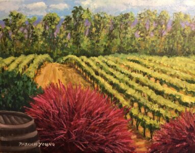 Rolling Hills - Chemeketa Cellars - Patricia Young - Salem, Oregon