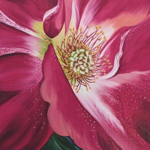 Rosa-Fourth of July No. 2 - Diane Trevett - Salem, Oregon