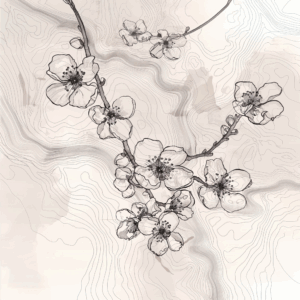Topography of Spring - Anna Davis - Salem