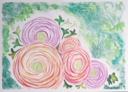 Open Ranunculus - CC Willow - Salem