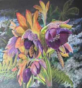 Jewels in the Snow - Carolyn Johnson-Bell - Salem • Best Representation of Renewal (Concept)