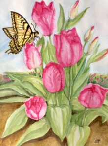 Return of the Butterfly - Jean Lea - Salem