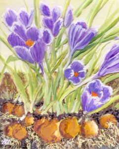 Spring Bulb Show - Jean Lea - Salem