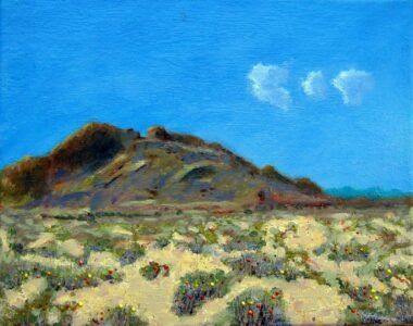 Spring in the Great Basin of Nevada - John Eells - Salem