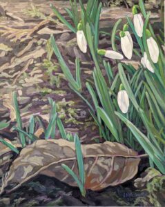 Snowdrops - John McFadden - Dallas • Honorable Mention