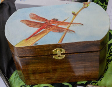 Dragonfly Stationary Box - by Jean Lea