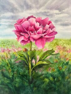Dee Hendrix - 2nd Place Award - Rozella at Adelman's Peony Gardens