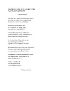 Marilyn Johnston - A MUSE CAN COME TO US IN UNEXPECTED PLACES, IF WE LET THEM IN