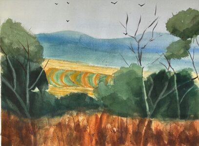 John Mohney - Ankeny Fields