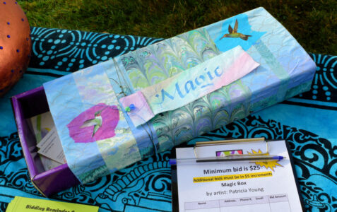 Magic Box - by Patricia Young