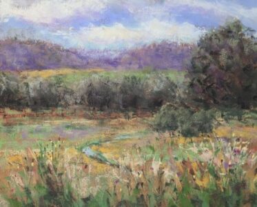 Debbie Robinson - Natures Connection