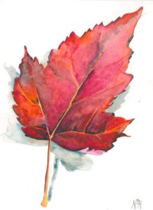 Natalie Hendrix - Fallen Red Leaf