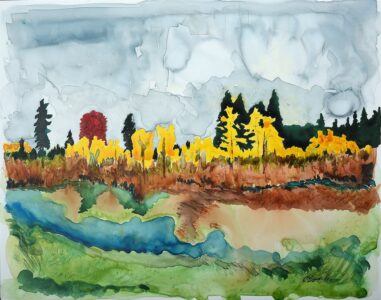 Cathy Sparks - Minto Red