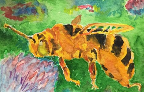 Ann Moore - Honeybee - 8x10 - $120