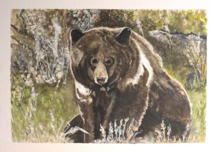 Bradli Daun - SheGrizz - 8x11 - $0