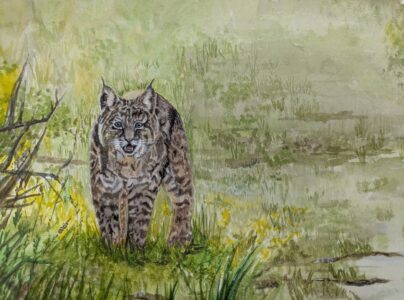 Bradli Daun - Whispers of the wild - 9x12 - $200