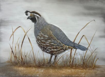Dee Hendrix - California Quail - 22x23 - $595