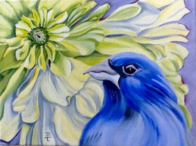 Diane Trevett - White Zinnia with Indigo Bunting - 5x7 - $150