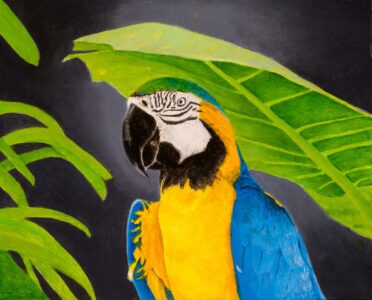 Jim Richards - Parrot Under Umbrella - 8x19 - $280