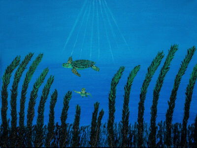 Jonathan Patzer - Sea Turtles - 18x24 - $480