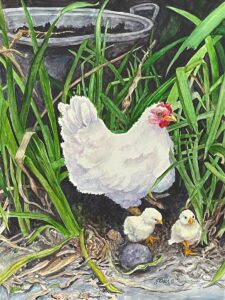 Judith Baer - Hen 'n' Chicks - 20x16 - $250
