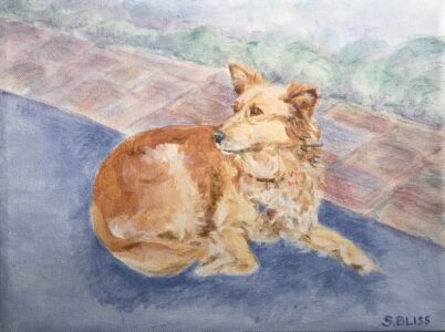Susan Bliss - Foxy the Rescued Dog - 9x12 - $0