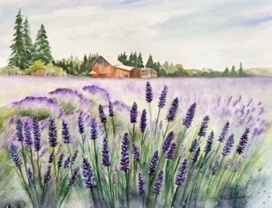 Dee Hendrix - Arrowhead Lavender Farm
