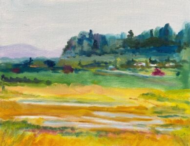 Ann Moore - Ankeny, Early Summer