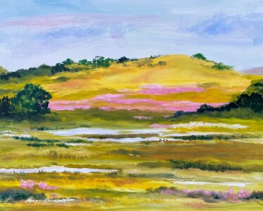 Ann Moore - Clarkia in Bloom