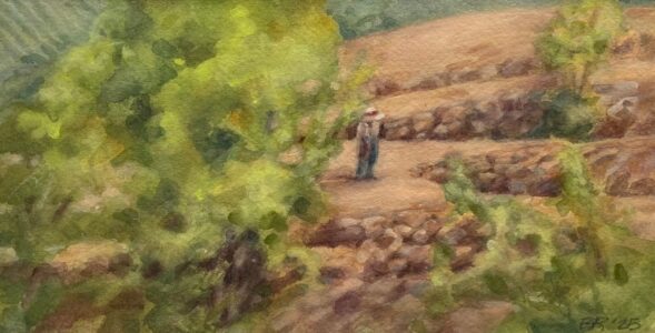 Elaine Rumford - Seeking Inspiration