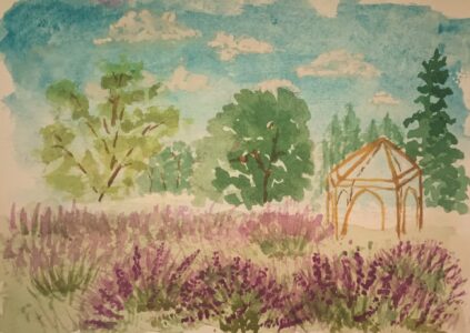CC Willow - Arrowhead Lavender Farm
