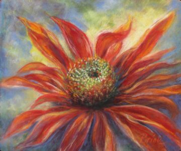 "A Red Coneflower" by Vicki Brink