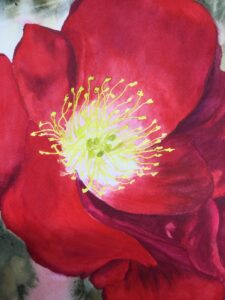 "Crimson Radiance" by Carole Eustice